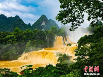 大迫力！アジア最大の国境を跨ぐ「徳天瀑布」が雨で「黄金の滝」に
