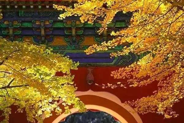 北京の秋「この世の楽園」