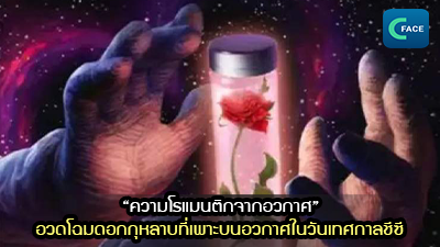 “ความโรแมนติกจากอวกาศ” อวดโฉมดอกกุหลาบที่เพาะบนอวกาศในวันเทศกาลชีซี_fororder_2021081806news1