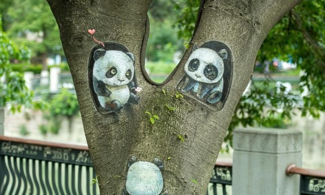 ศิลปินเมืองเฉิงตูวาดภาพแพนด้าน่ารักบนต้นไม้ข้างถนน_fororder_树画1
