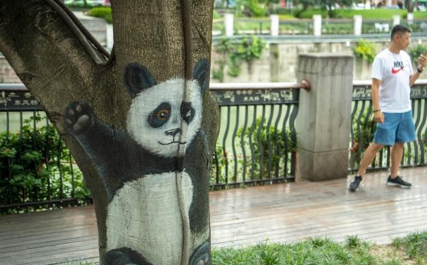 ศิลปินเมืองเฉิงตูวาดภาพแพนด้าน่ารักบนต้นไม้ข้างถนน_fororder_树画3