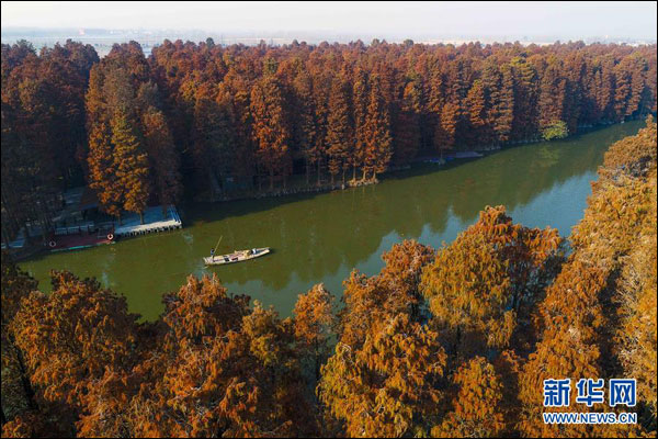 ทัศนียภาพป่าไม้บนน้ำ เมืองซิงฮั่ว มณฑลเจียงซู