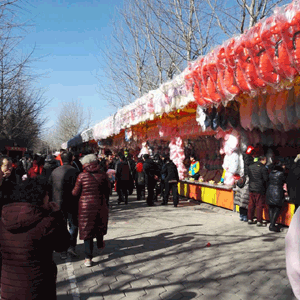 春節を迎えて・中国の「廟会」を見てきました