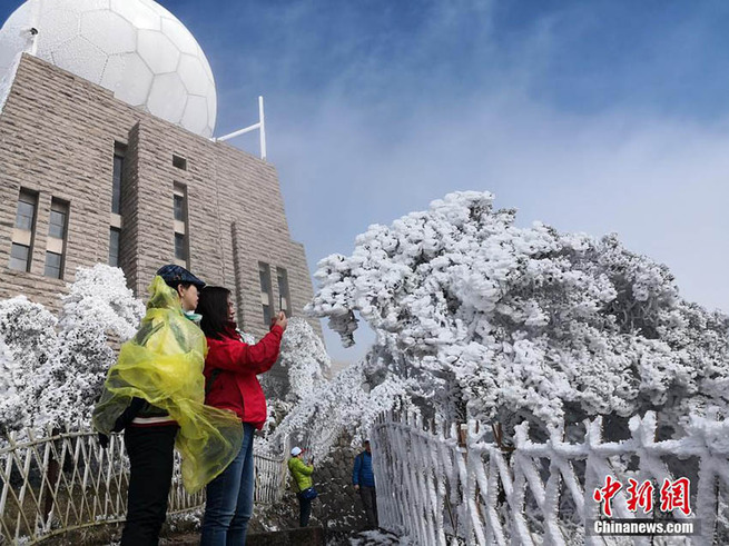 雪の中に梅の花　冬と春が入り混じる安徽省の黄山景勝地