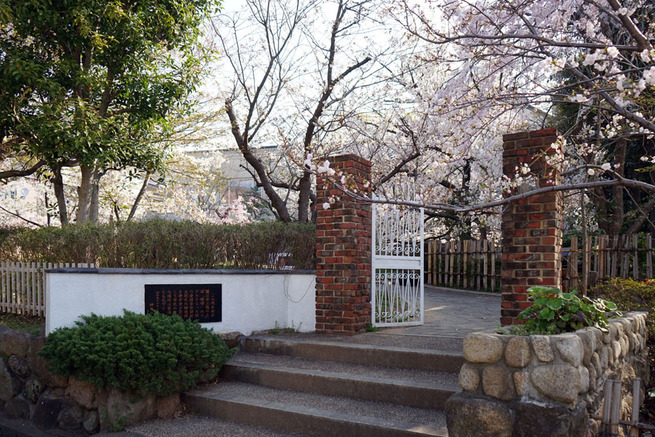3月29日　神戸・岡本南公園の桜　花咲か爺さん