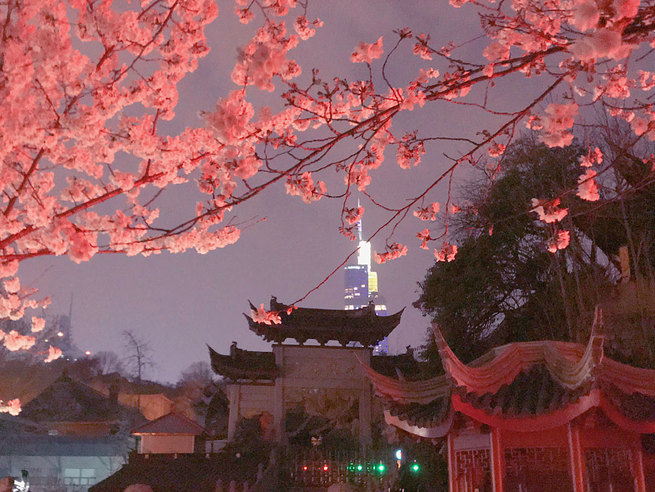 3月21日　江蘇省南京市・鶏鳴寺　秋风游子（秋風旅人）さん