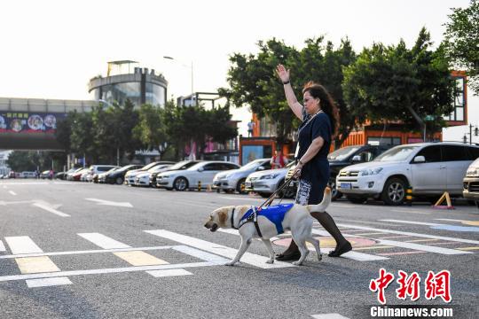 「第1回広州国際盲導犬フェスティバル」広州で開催
