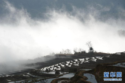Sawah Tangga di Provinsi Yunnan I