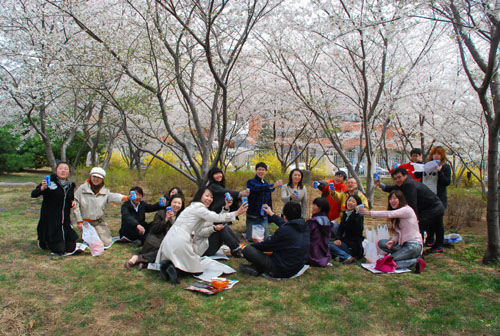 北京放送局の庭の桜